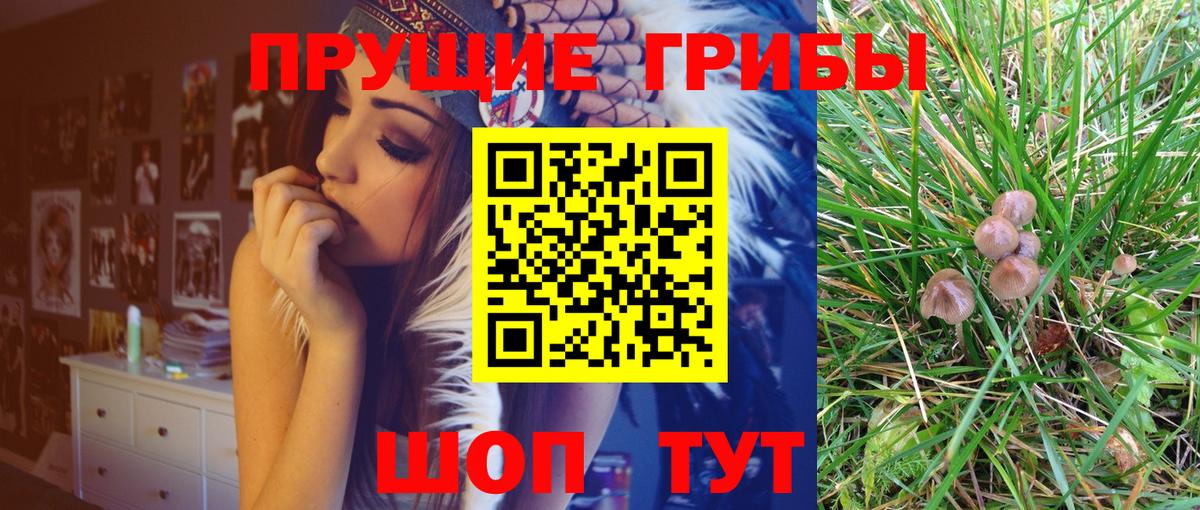 Кохма  Галлюциногенные грибы ЛСД  что такое   Вход с VPN 